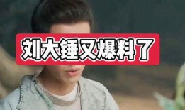 刘大锤最新爆料拍戏,最新爆料带你走进幕后拍戏风云